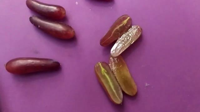 Хеллоуин киш Миш виноград раннего срока созревания. Т?