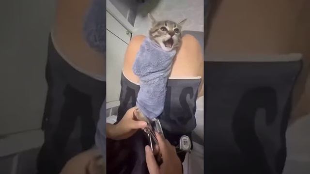 Лайфхаки смотреть онлайн