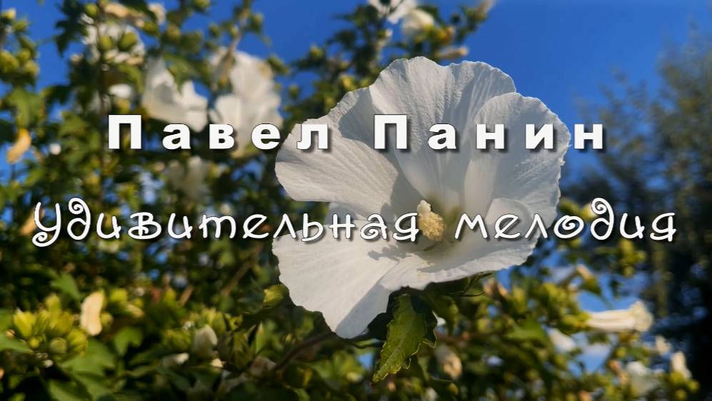 Павел Панин, удивительная мелодия. Музыка для души