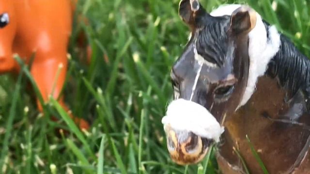 Сериал кровавый табун серия 9