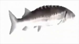 Прохождение великой игры без цензуры! - Max the elf