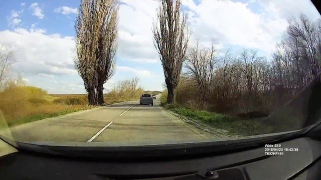 S49 Neoline Солнечный день.