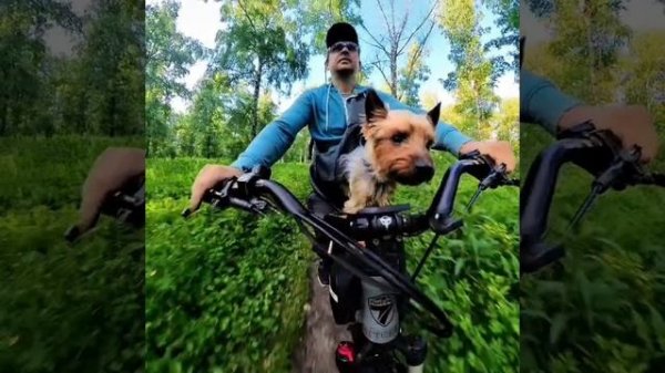 электро велосипед