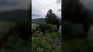 СНТ Лэповец_01