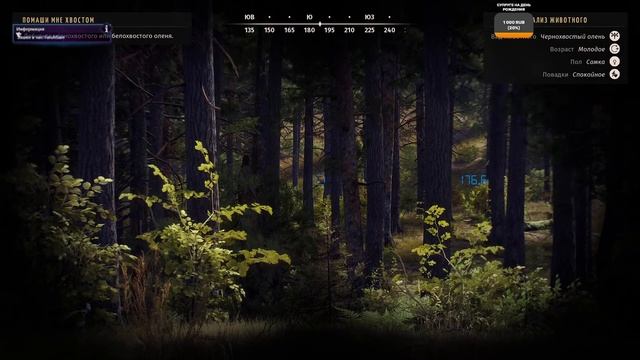 EvgeNik v Games Way of the Hunter. Первый обзор новой игры про охоту. смотреть онлайн