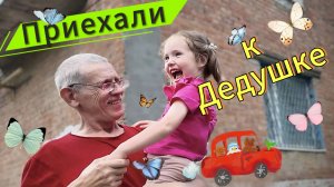 🚘Приехали к дедушке!!! Неспешная жизнь в Ростовской области🌆.