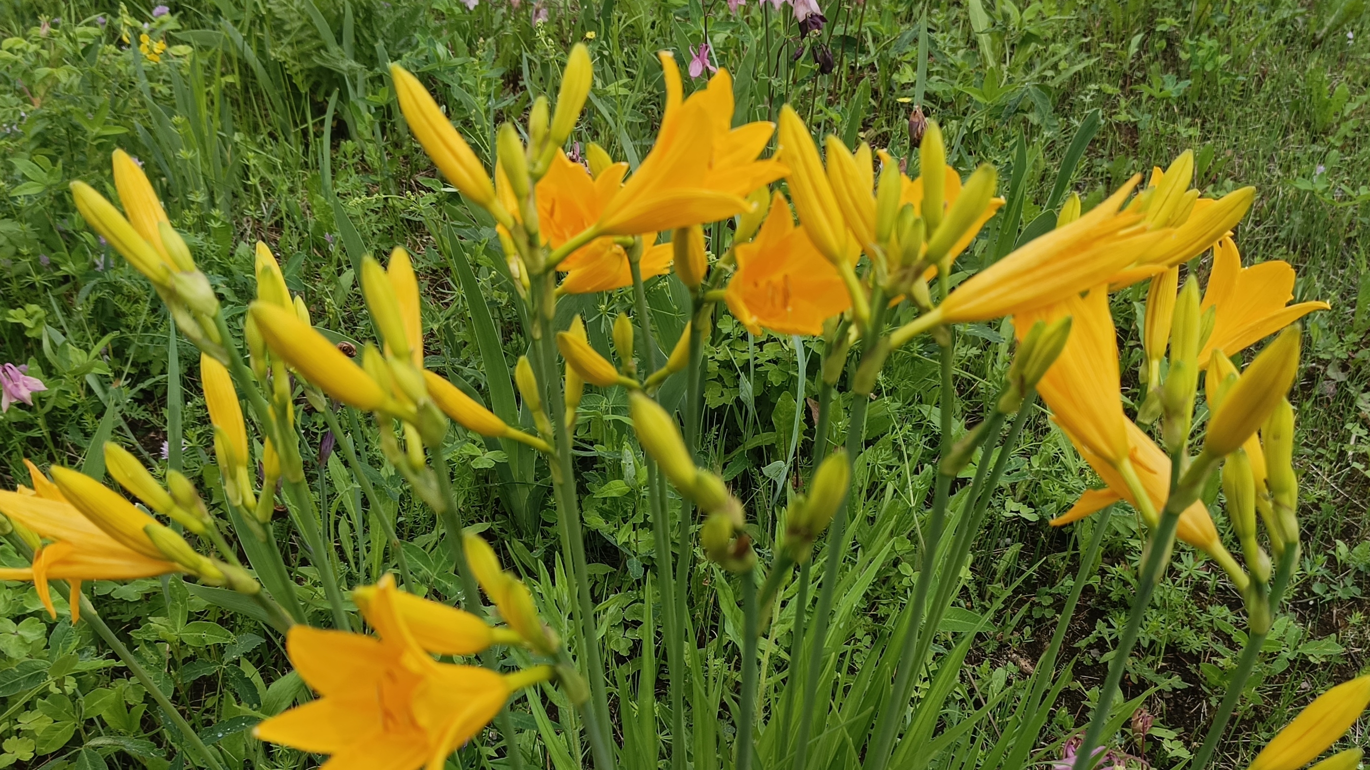 12-06-2025💥Влог💥четверг смотреть онлайн