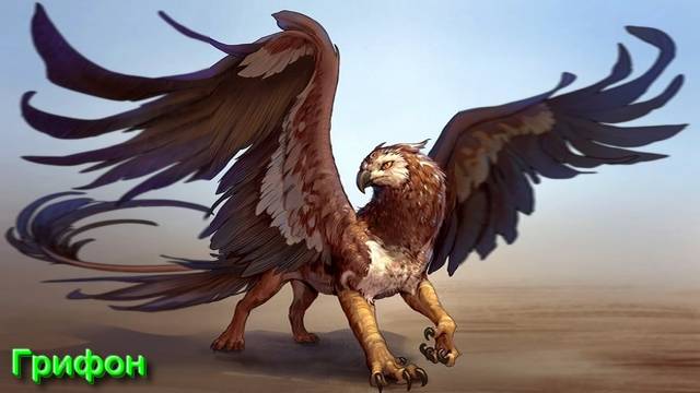 Ответы на Вопросы по Эзотерике от 12.06.25 смотреть онлайн