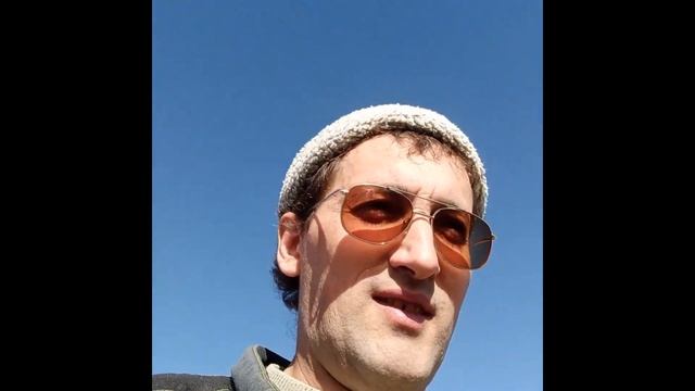 посадка сосен в 2024 год. смотреть онлайн