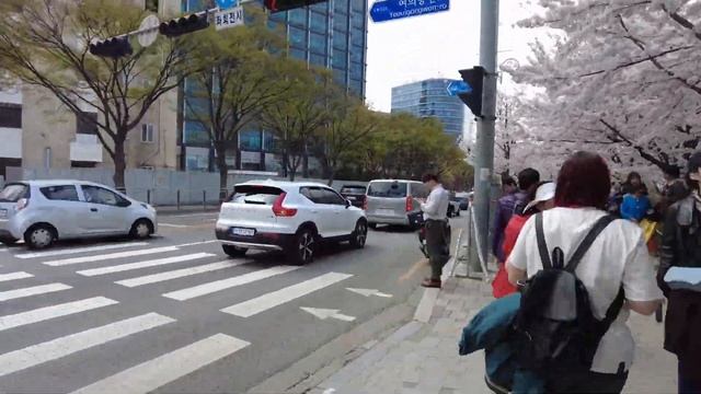 Арми влог,  окрестности Пусана, гуляем в самый пик цвет