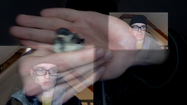 БАНДИТ-АВТОРИТЕТ РОБИТЬ СВАВІЛЛЯ [ S.T.A.L.K.E.R.: До Світанк