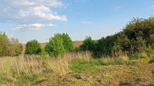 счастливый садовод