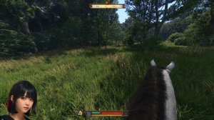 ОСНОВНОЙ КВЕСТ ЧЕРТОВА СТАЯ - Kingdom Come: Deliverance 2 KCD 2