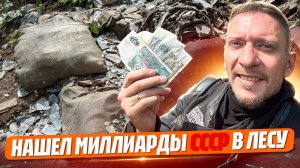 Забытые богатства в лесу: как я стал «миллионером» на один день!