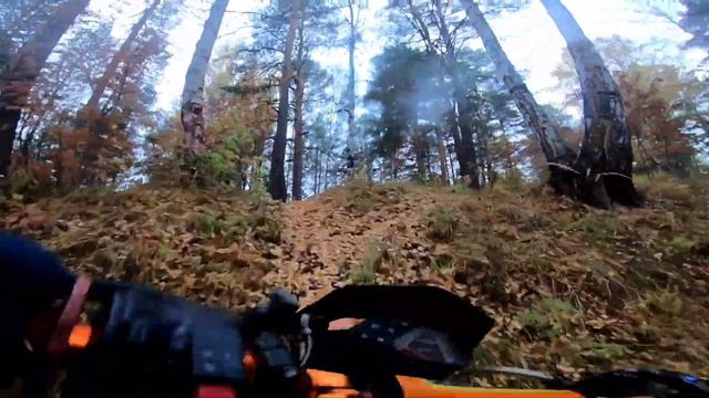 Racer Endyro 150 эндуро покатушки