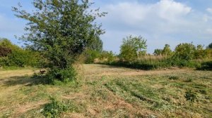 #3/Купили дом в Краснодарском крае/что утаили продавцы/ёжик на участке/речка/уборка