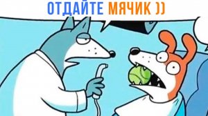 ПЁС-СТОМАТОЛОГ ))) Приколы | Мемозг 1618