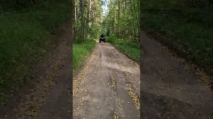 Линхай ямаха д200 покатушки