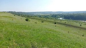 поселок Шишовка, Бобровский район, Воронежская область 12.06.2025