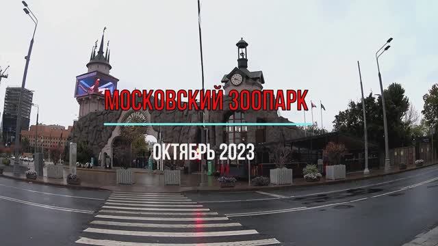 Московский зоопарк. Что получилось снять смотреть онлайн