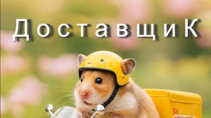 ДОСТАВЩИК .