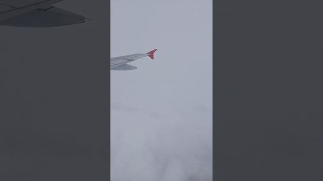 Москва -Сочи рейс выполняется Авиакомпанией 