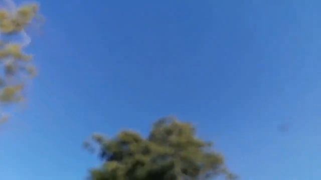 Вороны тренеруют крылья на ветру смотреть онлайн