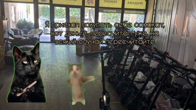 Как я ездил покупать себе электросамокат #пов #котики #