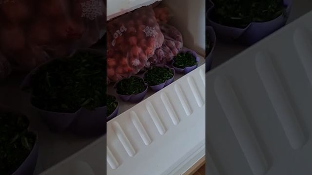 Заморозка зелени. Шпинат смотреть онлайн