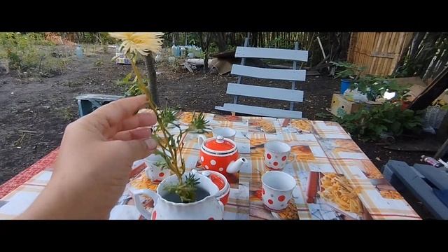 2частьРоспаковка растений с Ярославской области. земл