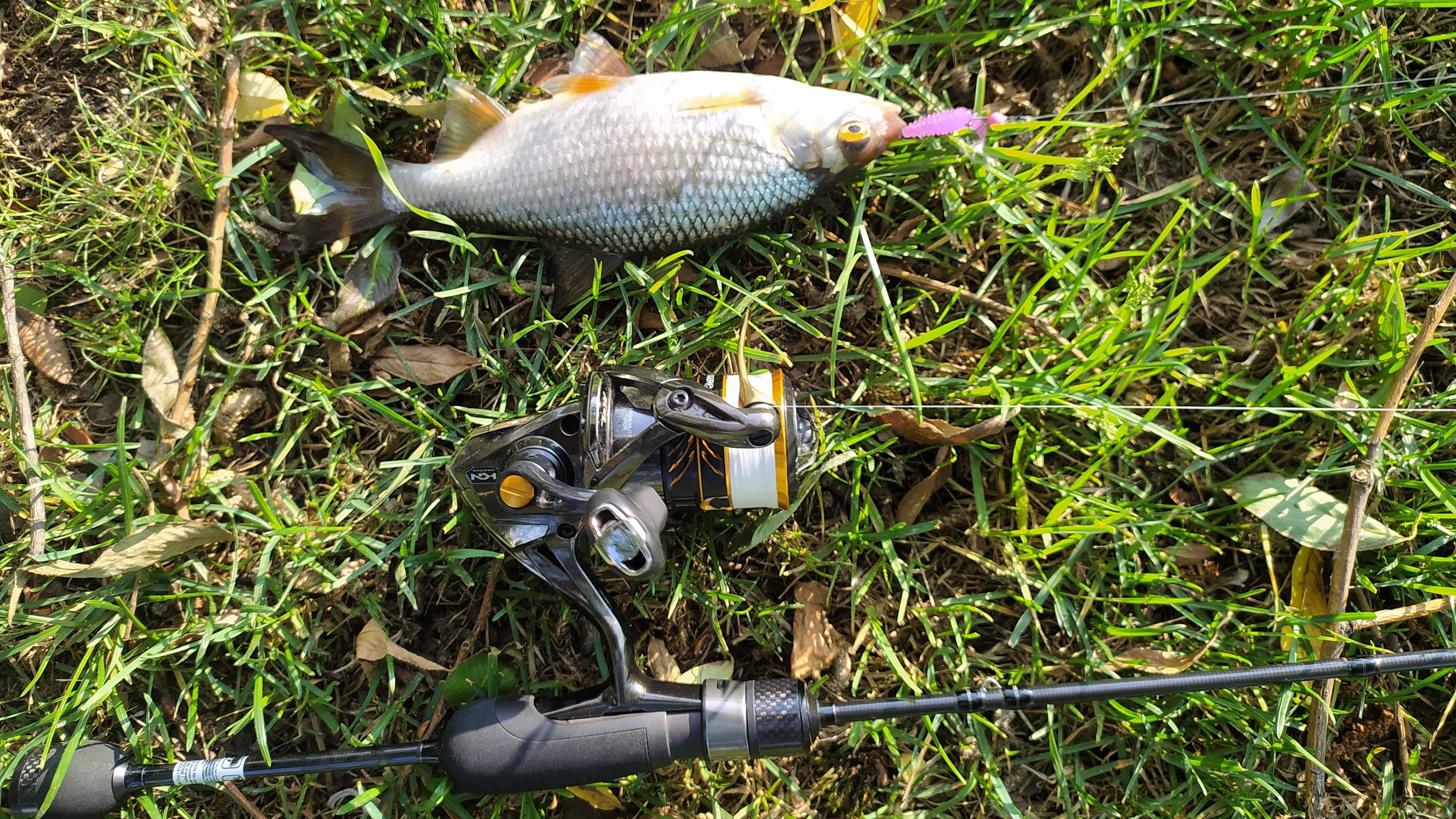 Домашняя микро-речка. Новый Силикон