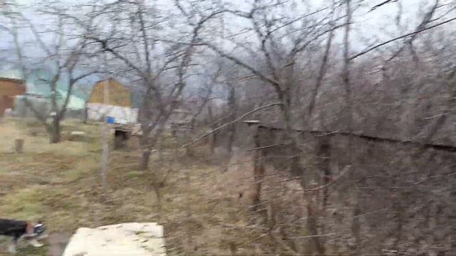 12 апреля 2025. Сад, деревня, обзор,посадка саженцев, обре? смотреть онлайн