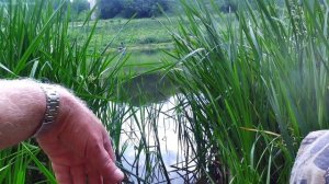 Спиннинг 12 июня 2025