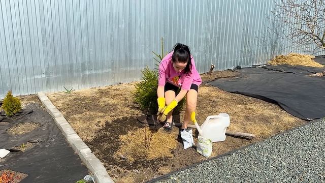 Как создавать ЦВЕТНИКИ на участке! Работа над ошибкам? смотреть онлайн