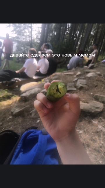 рил давайте сделаем это мемом