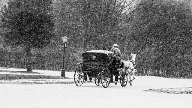 История заколок для волос