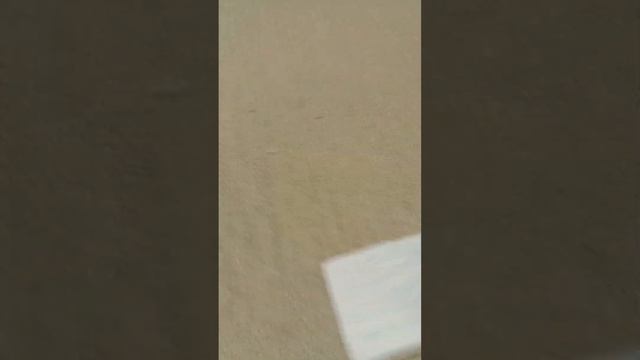 первая часть про мини-игру растения против зомби смотреть онлайн