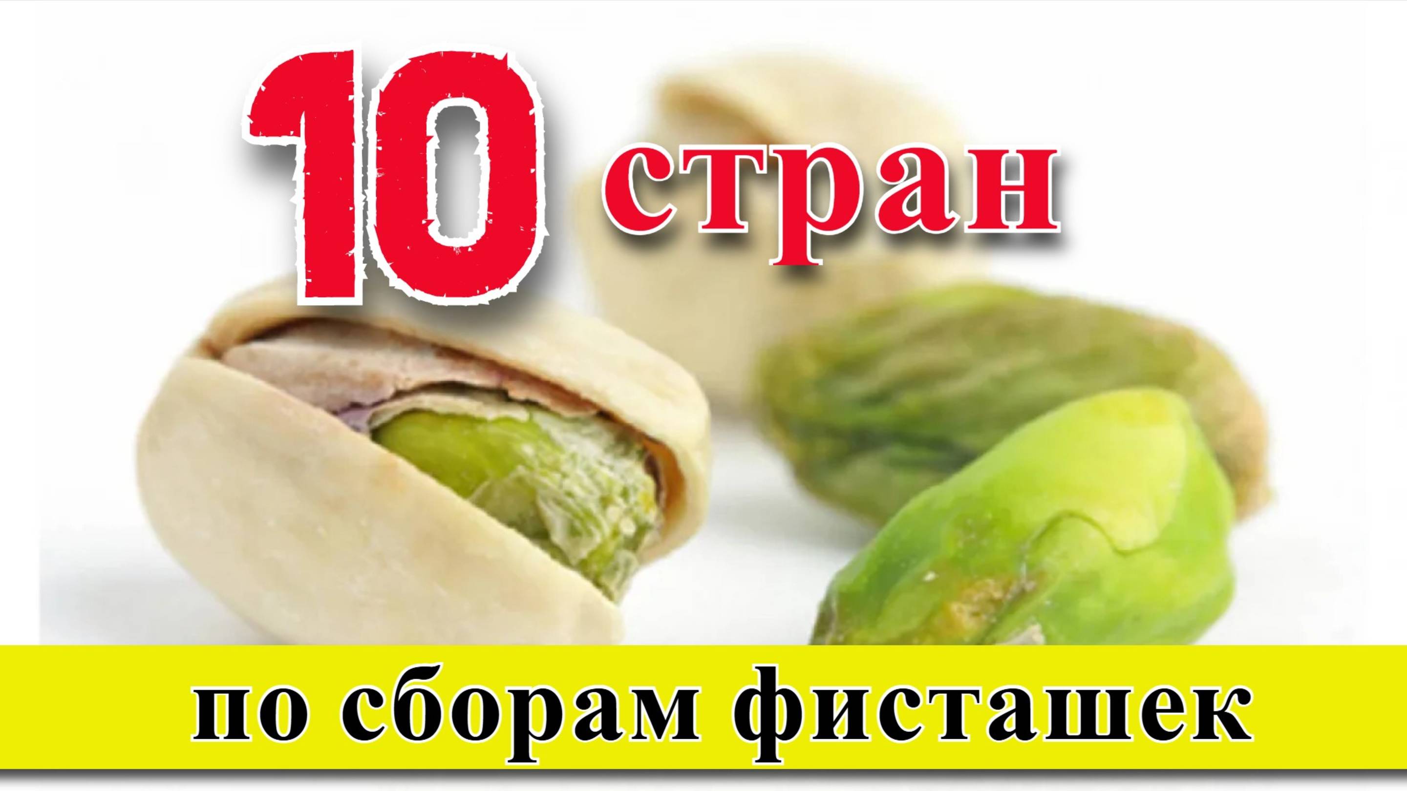 ФИСТАШКИ: ТОП 10 стран по сборам фисташек (1960–2023) смотреть онлайн