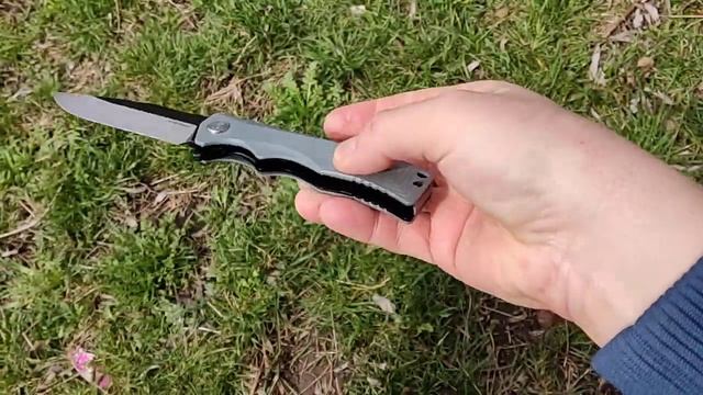 Folding Knife Petrified Fish PF959, складаний ніж