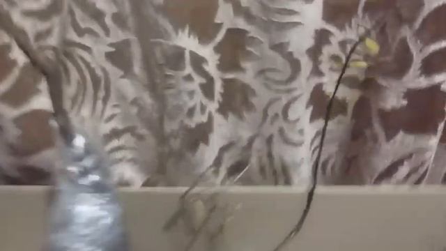 Відгук Агромаркет до замовлення #174075889258 від 28.02.2025 (жим