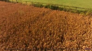 Музыка, от которой ДРОЖАТ все вокруг! - Hard Mode -- HoliznaCC0 -- Gamer Beats!