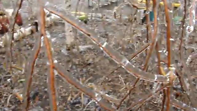 Ледяной дождь в Краснодаре: последствия. О чём шумят д? смотреть онлайн