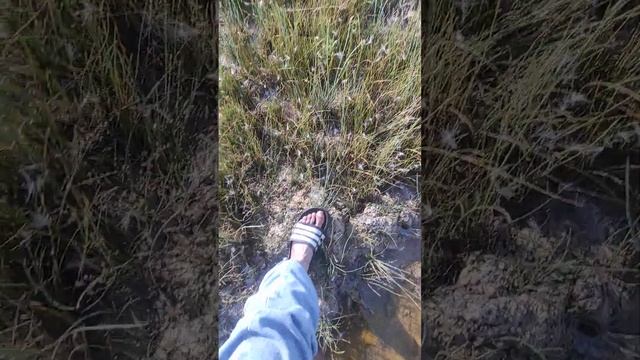 За болтом Киа. Спортейж.