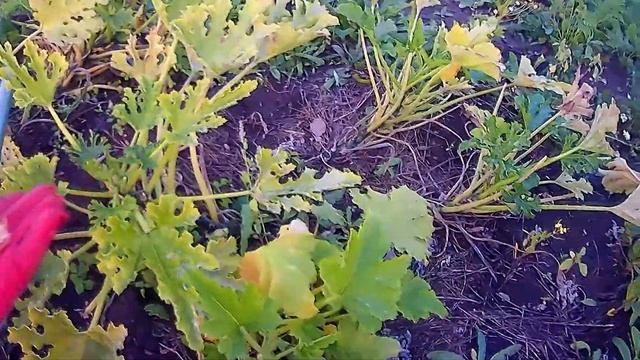 Теперь я знаю