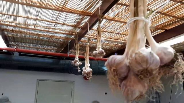 ЧЕСНОК ПО ЧЕСНОКУ.МЫЛО ИЗ ЛАВАНДЫ.ИЗРАИЛЬ.lavender Soap.Israel.