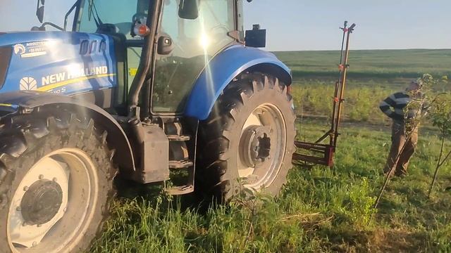 Обприскування вишні сорт Келеріс