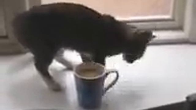 кофе смотреть онлайн