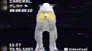 Страшилка WildCraft "Ошмётки на трассе"