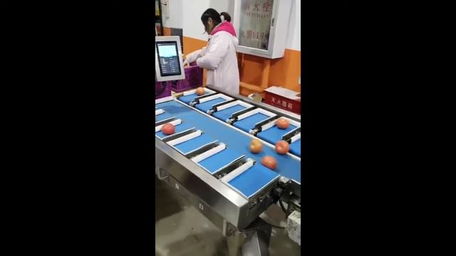 Весовой линейный дозатор для овощей, фруктов: на виде