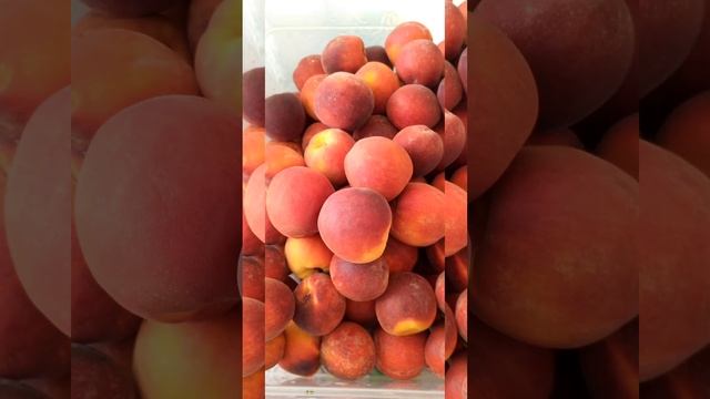 Компот из персиков 🍎Удивительный сорт, а компот из не